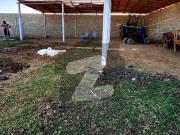 End Your Search For Agricultural Land Here And Sale Now