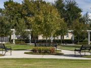Enders Place at Baldwin Park Heather