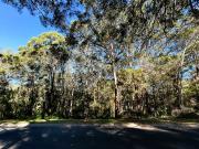 ENDLESS BUSINESS OPPORTUNITIES