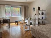 ENORME MONOAMBIENTE 40 M2 LUMINOSO APTO PROF