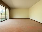 ENRIQUE FOSTER PTE. RIESCO / VISTA DESPEJADA