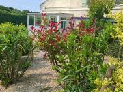 Ensemble immobilier, 3 maisons à Tesson, à 1 km du bourg...