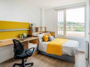 Ensuite Bronze F Has an Apartment