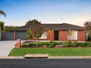 Entertainer's Delight!