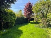 Entire house with garden – exclusively for your group