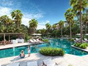 Entre el Swing del Golf y la Brisa del Caribe....