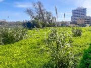 Entre o Verde, o Mar e a Cidade Um Projeto Distinto