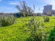 Entre o Verde, o Mar e a Cidade Um Projeto Distinto