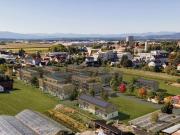 Entzückende Gartenwohnung in Südausrichtung moderne...