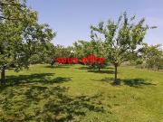 Epfig 67680 Achat / Vente terrain