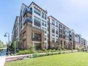 Epic 1 Bedroom Apartment for Rent at 600 Epic Way, San...