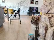 Epinal 88000 Achat / Vente appartement 5 pièces t5 au...