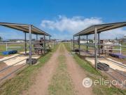 EQUINE HEAVEN IN WINE COUNTRY BRILLIANT SINGLE, LEVEL...