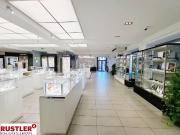 Erdgeschoß Ecklage 2 Eingänge große Fensterflächen