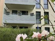 Erdgeschosswohnung: 3 Zimmer Walkmühlenweg11a in...