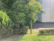 Erdgeschosswohnung mit Balkon und kleiner Terrasse