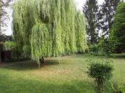 Erholung Charmante Wohnung für Ruhesuchende nach einem...