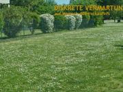 Erschl. Grundstück bebaubar mit Gewerbe u. einer...