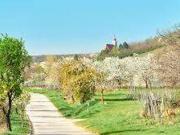 Erstbezug 4 Zimmer Eigentumswohnung