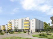 ERSTBEZUG „ein viertel grün“ in Wiener Neustadt 3...