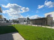 ERSTBEZUG „ein viertel grün“ in Wiener Neustadt 3...