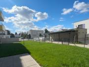 ERSTBEZUG „ein viertel grün“ in Wiener Neustadt 3...