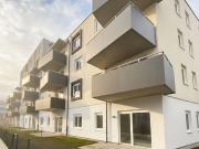 ERSTBEZUG „ein viertel grün“ in Wiener Neustadt