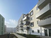 ERSTBEZUG „ein viertel grün“ in Wiener Neustadt