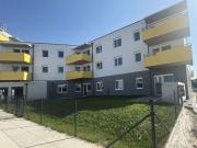 ERSTBEZUG „ein viertel grün“ in Wiener Neustadt ein...