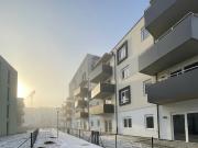 ERSTBEZUG „ein viertel grün“ in Wiener Neustadt herrliche