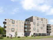 ERSTBEZUG „ein viertel grün“ in Wiener Neustadt moderne...