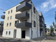 ERSTBEZUG „ein viertel grün“ in Wiener Neustadt...