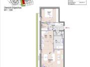 ERSTBEZUG'ein viertel grün' in Wr. Neustadt 2...