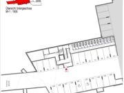 ERSTBEZUG'ein viertel grün' in Wr. Neustadt...