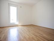 ERSTBEZUG ein viertel grün in Wr. Neustadt moderne 3...