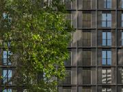 Erstbezug in den DC Flats Smarte 1,5 Zimmer Wohnung zu...