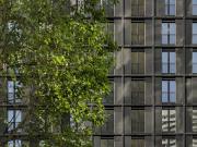 Erstbezug in den DC Flats – Sonnige 1,5 Zimmer Wohnung –...