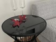 Erstbezug: möblierte 2 Zi Neubauwohnung. inkl....