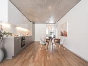 Erstbezug: Moderne 4.5 Zimmer Wohnung in Terrassenhaus