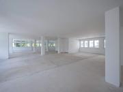 Erstbezug: Moderne Bürofläche in Hietzinger Bestlage