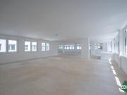 Erstbezug: Moderne Büroflächen in Hietzinger Bestlage