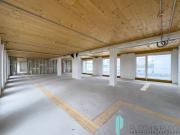 ERSTBEZUG Moderne Büroflächen mit Terrassen im...