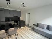 Erstbezug nach Sanierung 3.5 Zimmer Neubau Wohnung +...