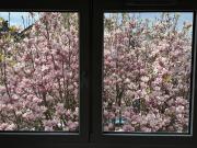 Erstbezug nach Sanierung – Moderne 4 Zimmer...