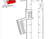 ERSTBEZUG'ein viertel grün' in Wr. Neustadt...