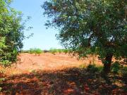 Es el terreno que muchos estan buscando!. Es tranquilo,...