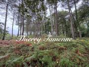 Escalans Vente Terrain 40