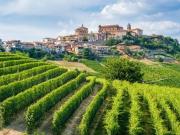 Esclusiva villa di 270 mq in vendita La Morra, Italia