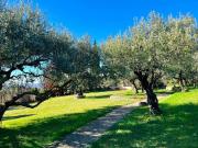 Esclusiva villa di 327 mq in vendita Strada dei Monti,...