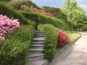 Esclusiva villa di 460 mq in vendita Via Brianza S.N.C...